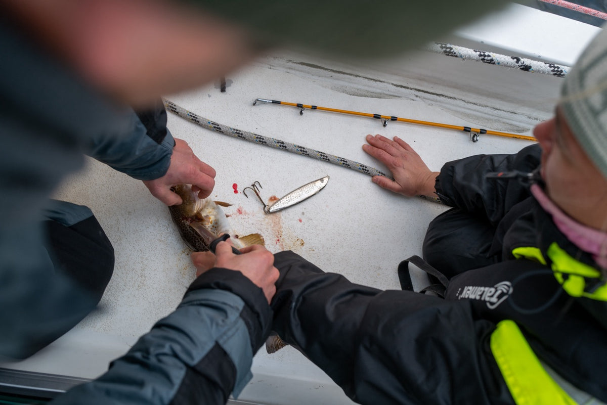 Segeln & Skifahren in der Finnmark, Norwegen im März 2027