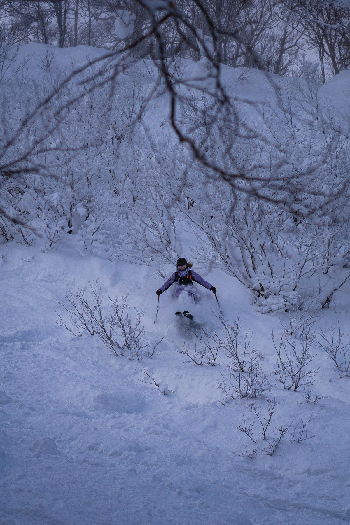Pulverschnee-Skireise Niseko Japan Februar 2027