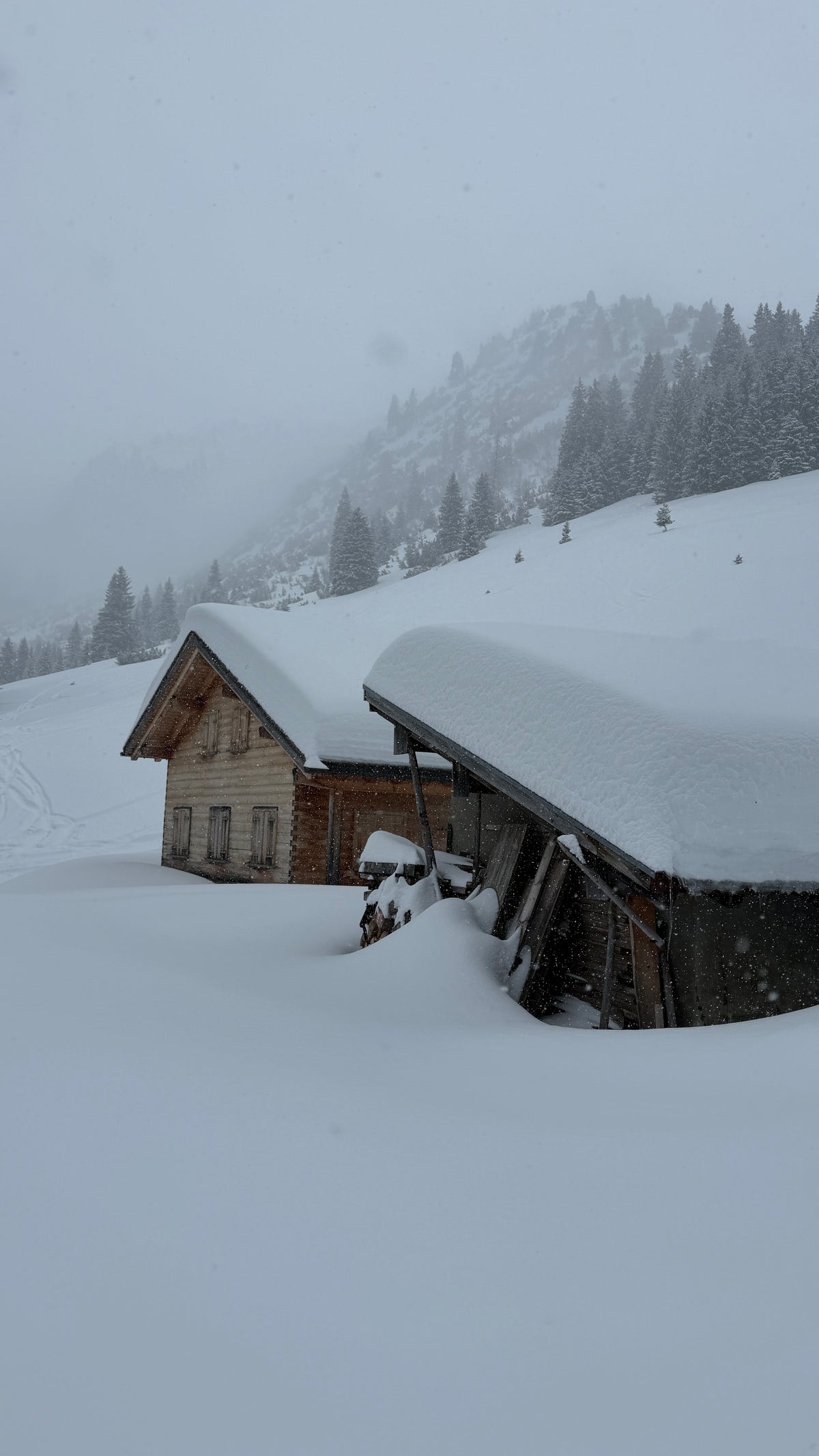 Private Ski Guiding in the Arlberg with Mandarin Translation