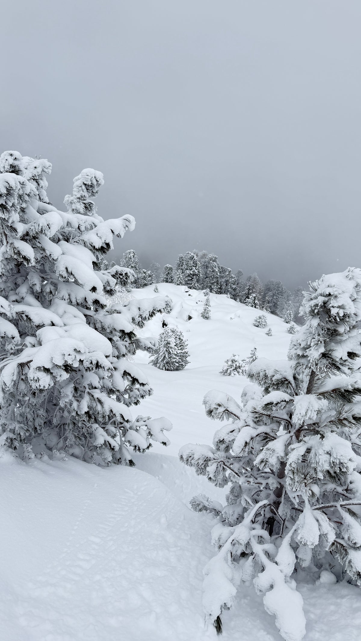 Private Ski Guiding in the Arlberg with Mandarin Translation