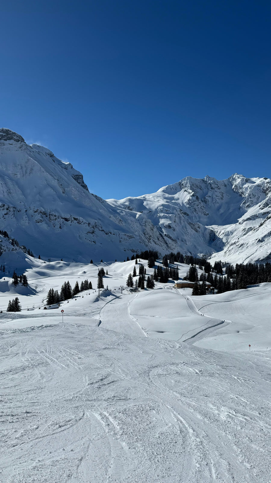 White Ring Ski Guiding in Lech & Zürs, Arlberg
