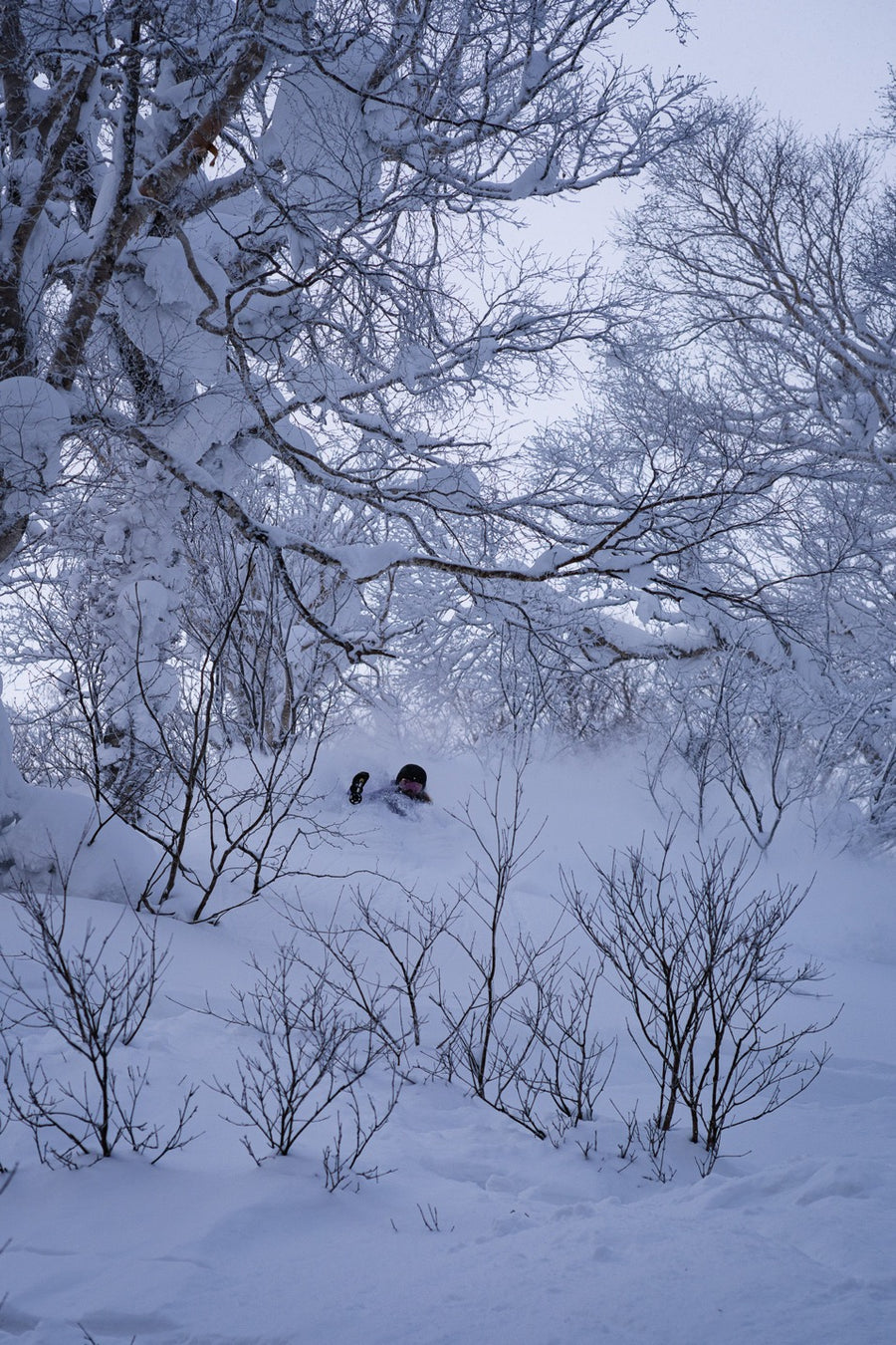 Pulverschnee-Skireise Niseko Japan Februar 2027